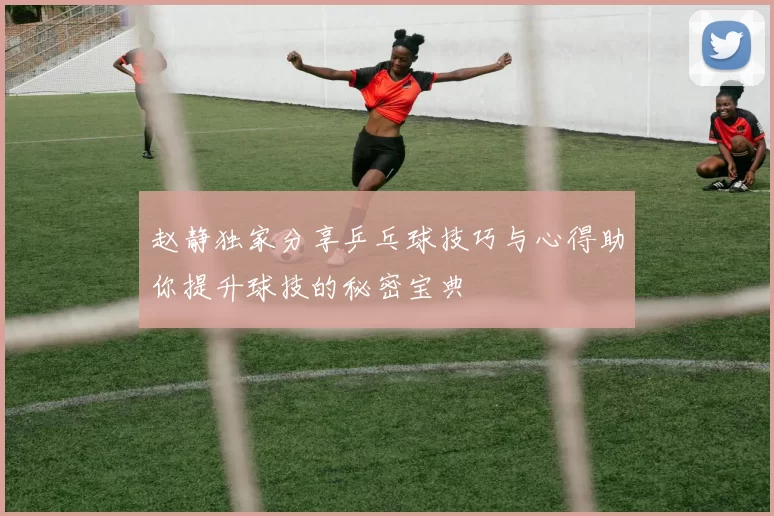 赵静独家分享乒乓球技巧与心得助你提升球技的秘密宝典