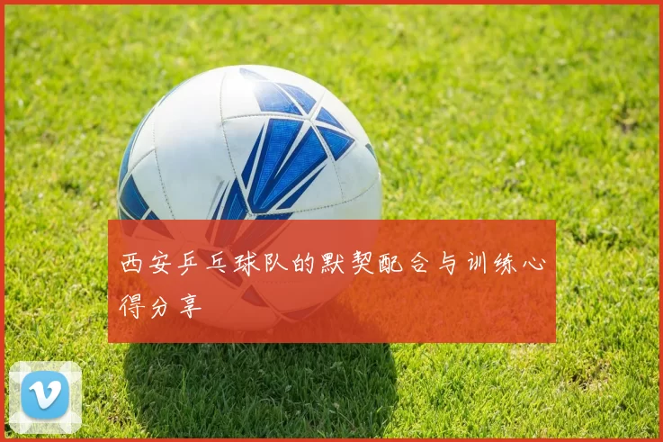 西安乒乓球队的默契配合与训练心得分享