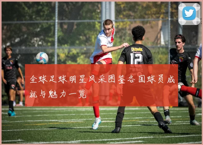 全球足球明星风采图鉴各国球员成就与魅力一览