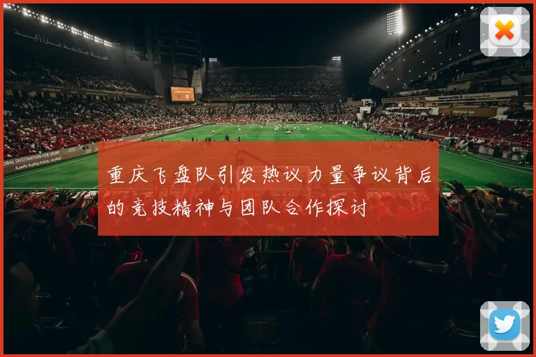 重庆飞盘队引发热议力量争议背后的竞技精神与团队合作探讨