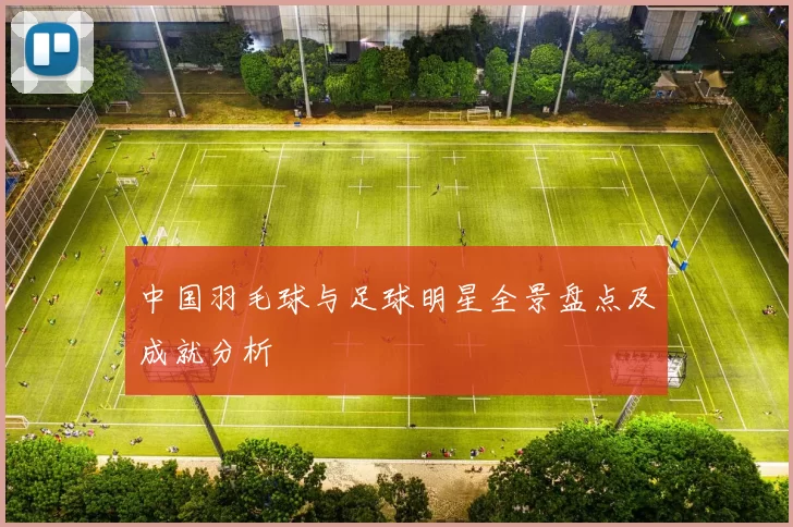 中国羽毛球与足球明星全景盘点及成就分析