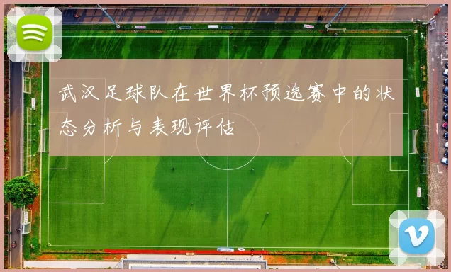 武汉足球队在世界杯预选赛中的状态分析与表现评估