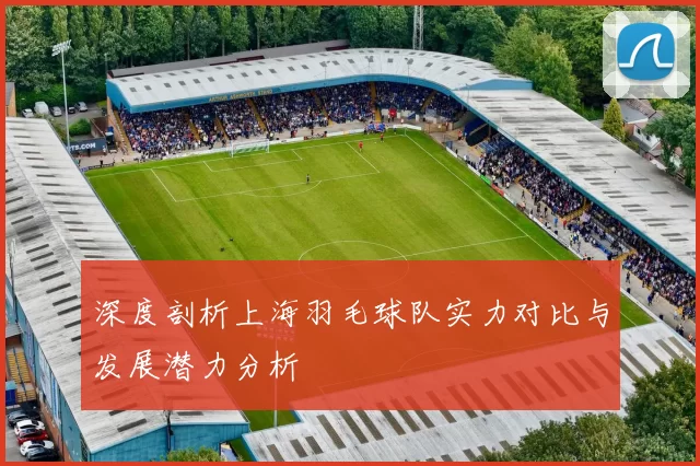 深度剖析上海羽毛球队实力对比与发展潜力分析