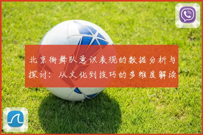 北京街舞队意识表现的数据分析与探讨：从文化到技巧的多维度解读