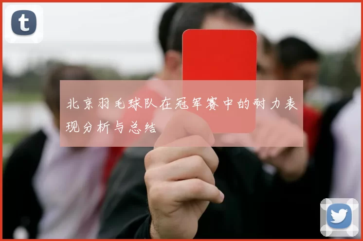 北京羽毛球队在冠军赛中的耐力表现分析与总结