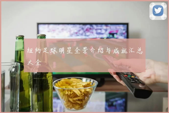 纽约足球明星全景介绍与成就汇总大全