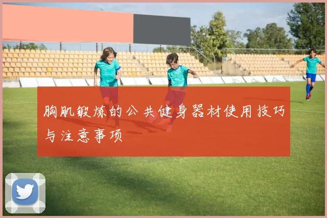 胸肌锻炼的公共健身器材使用技巧与注意事项