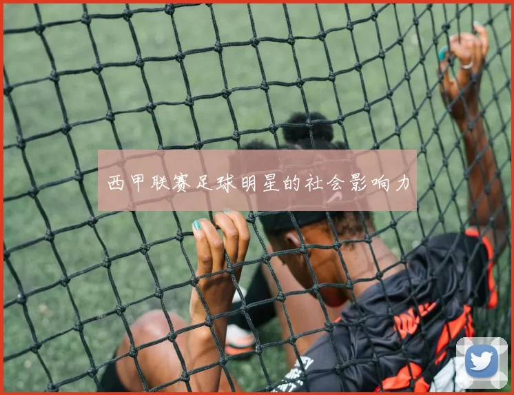 西甲联赛足球明星的社会影响力
