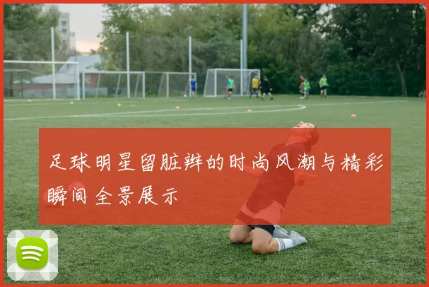 足球明星留脏辫的时尚风潮与精彩瞬间全景展示