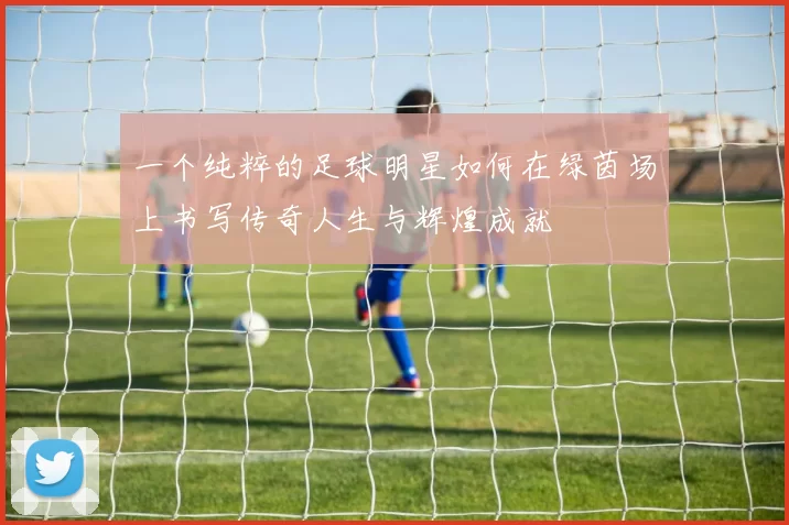 一个纯粹的足球明星如何在绿茵场上书写传奇人生与辉煌成就