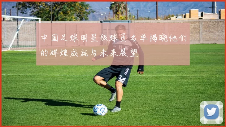 中国足球明星级球员名单揭晓他们的辉煌成就与未来展望
