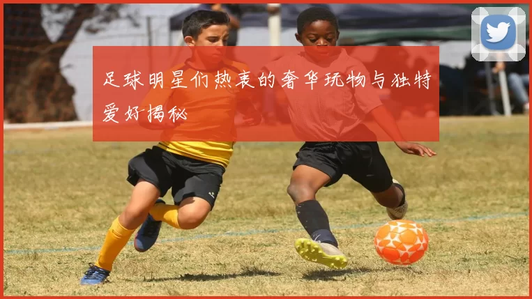 足球明星们热衷的奢华玩物与独特爱好揭秘