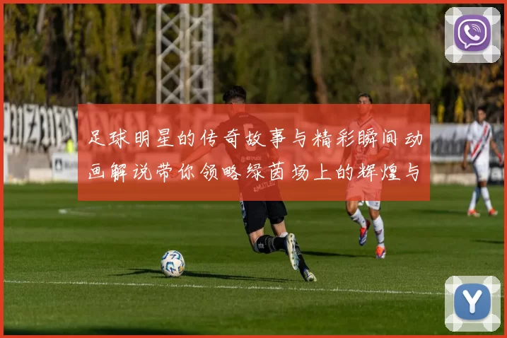 足球明星的传奇故事与精彩瞬间动画解说带你领略绿茵场上的辉煌与激情