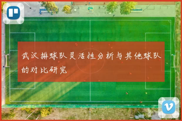 武汉排球队灵活性分析与其他球队的对比研究