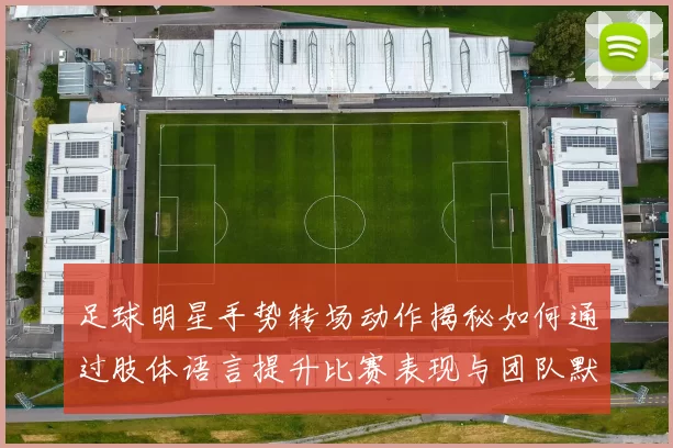 足球明星手势转场动作揭秘如何通过肢体语言提升比赛表现与团队默契